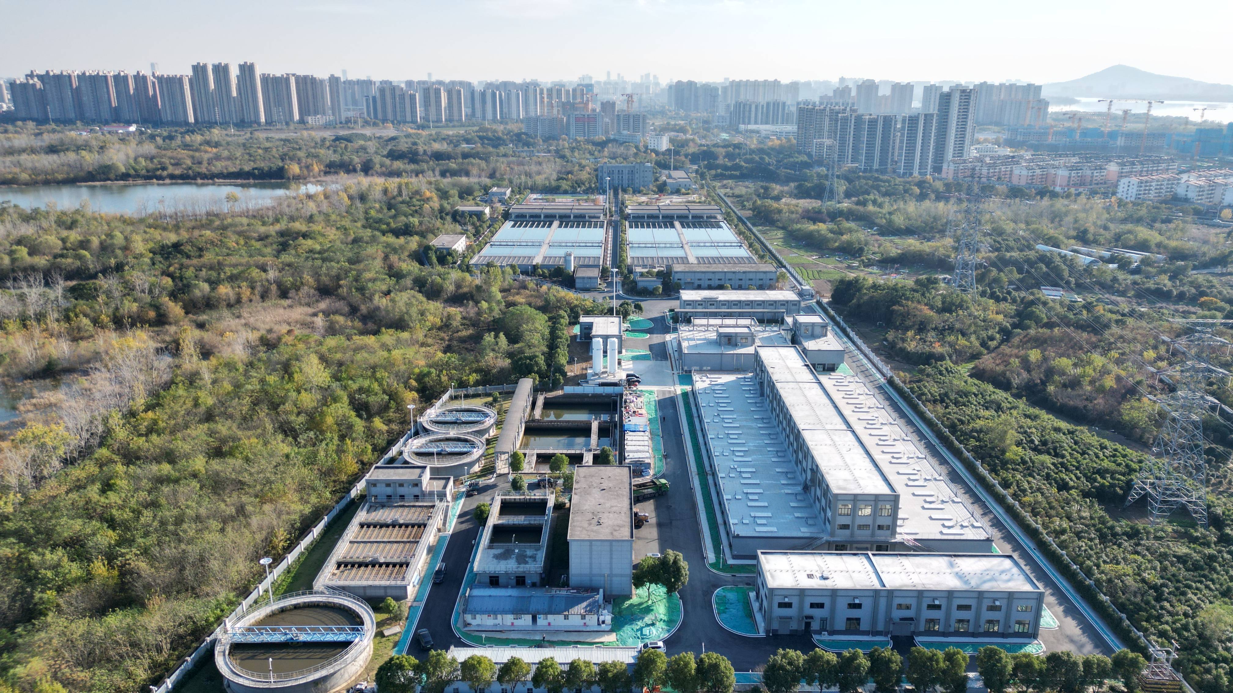 丽江市合肥专业企业价值增长(合肥市重点企业产业目录)