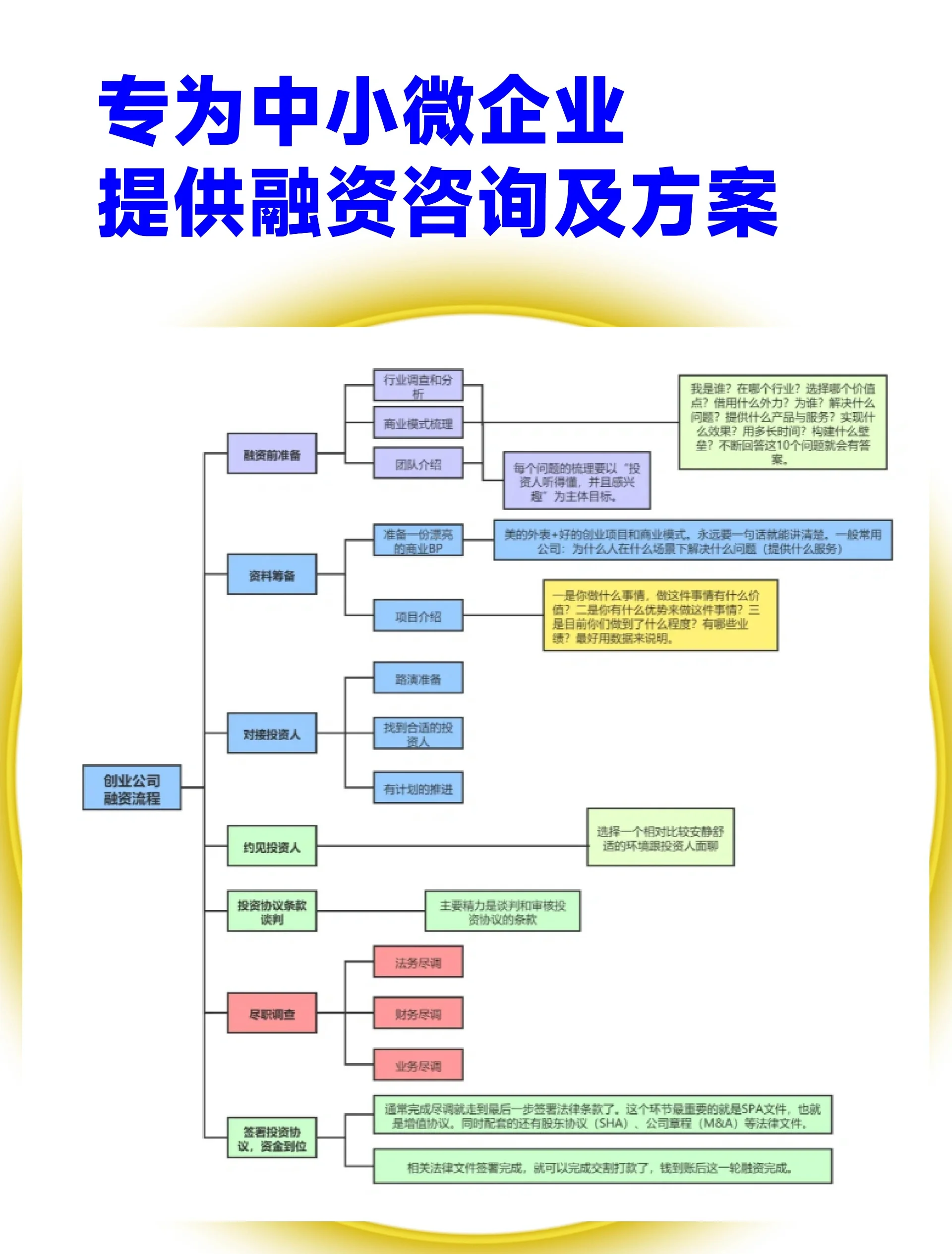 丽江市宠物企业资金管理(宠物管理机构叫什么)