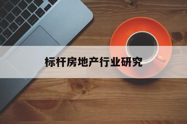 丽江市标杆房地产行业研究(房地产领域的标杆人物)