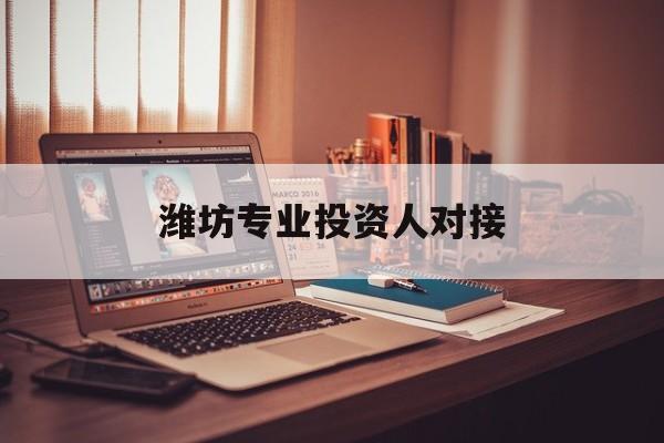 丽江市潍坊专业投资人对接(潍坊专业投资人对接中心)