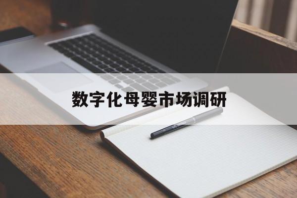 丽江市数字化母婴市场调研(数字化母婴市场调研报告)