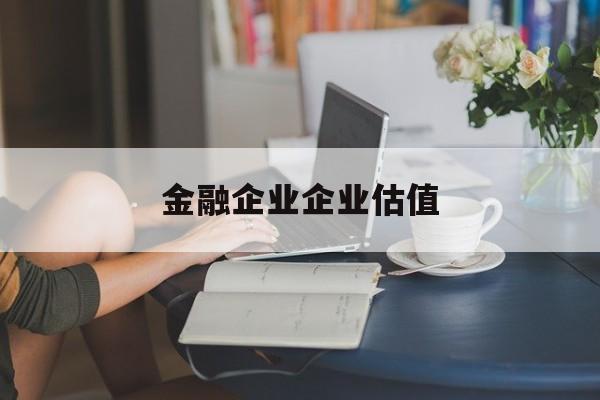 丽江市金融企业企业估值(最新企业估值怎么填)